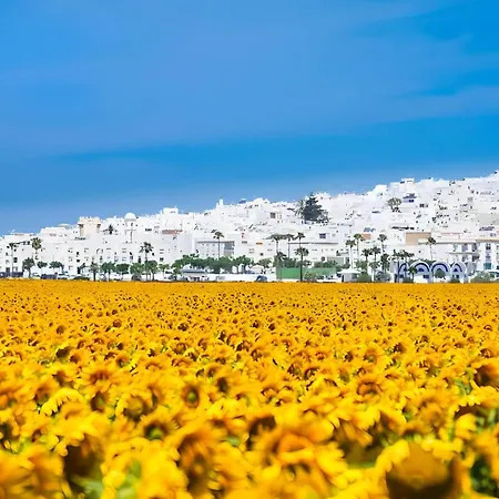 House * Conil De La Frontera