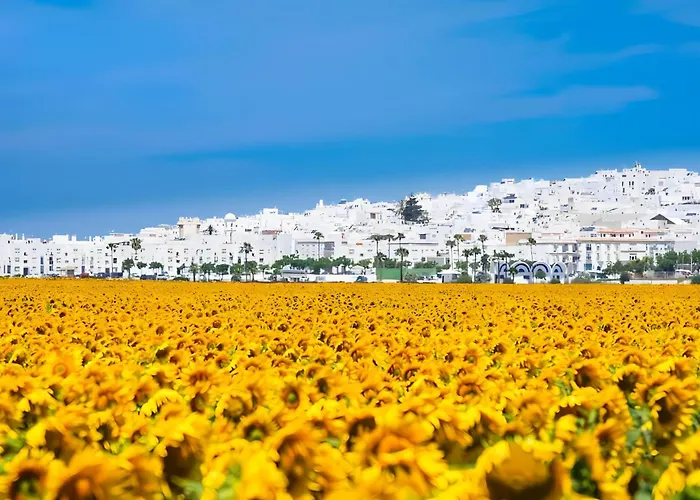 House * Conil de la Frontera